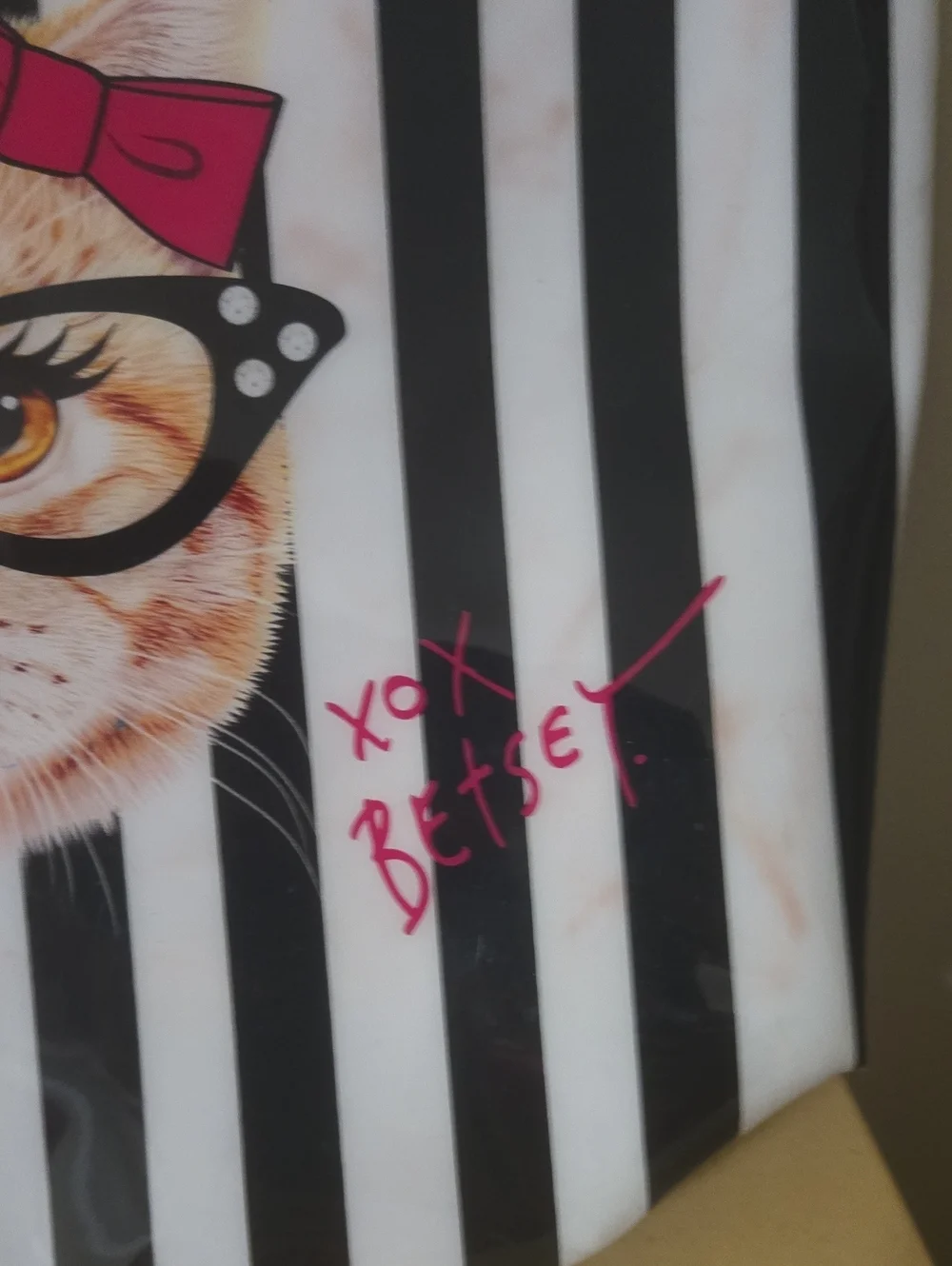 Betsey Johnson Black & White Striped Cat Pouch with Pink Bow